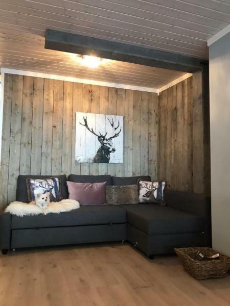 Kvamseter Lodge - Mountain Apartments 노르하임순드 외부 사진